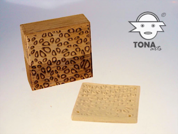 No.SL2 seamless plant cell structure